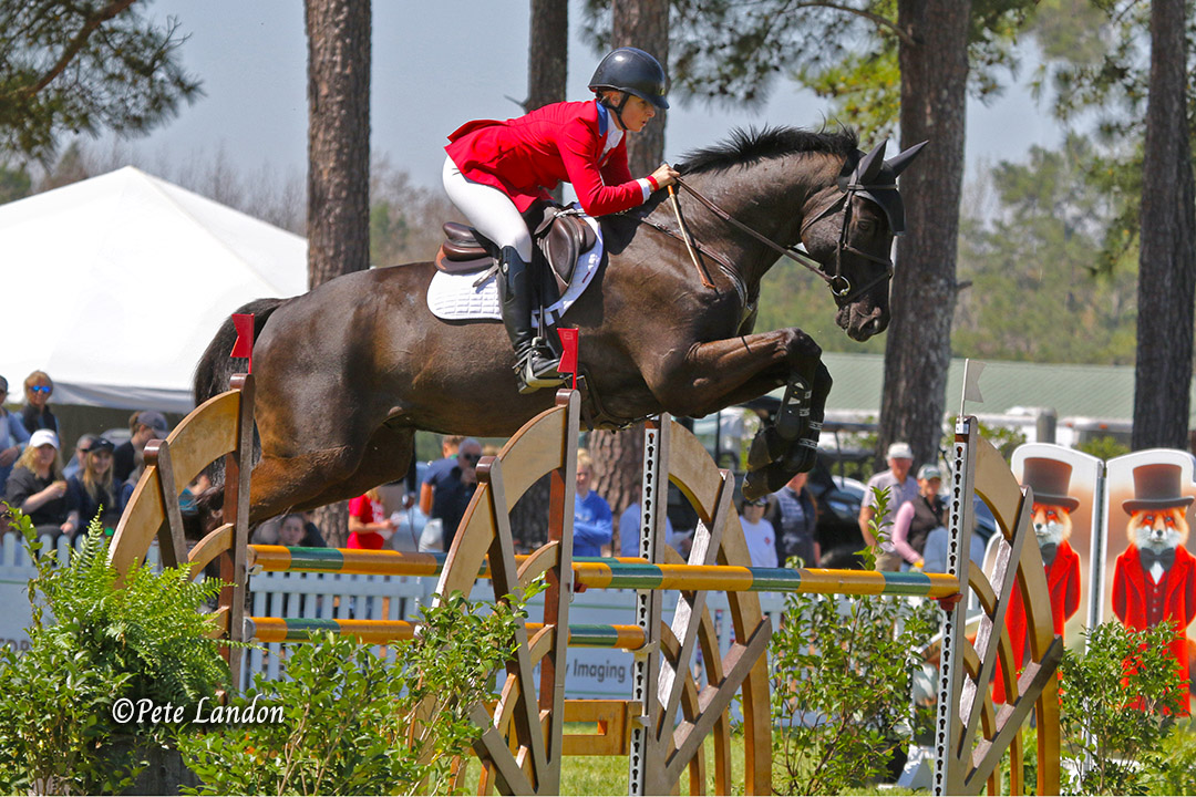 Equestrian competition at Carolina Horse Park in Raeford, North Carolina